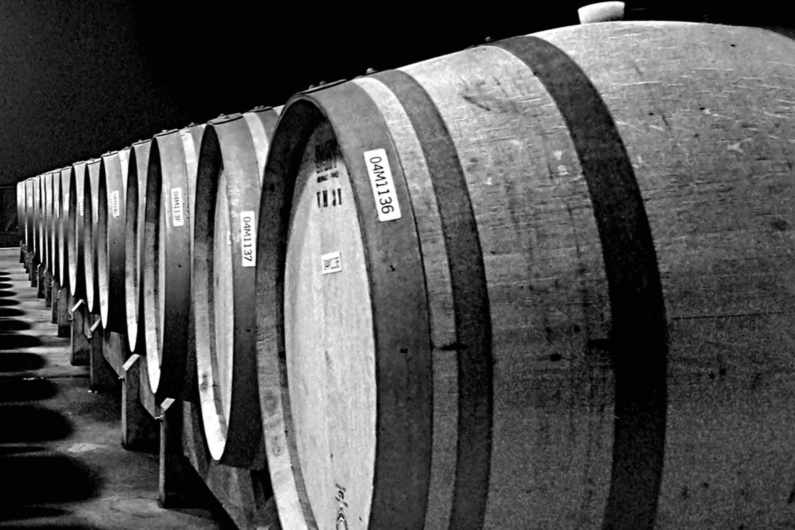 Chai et barriques de vin