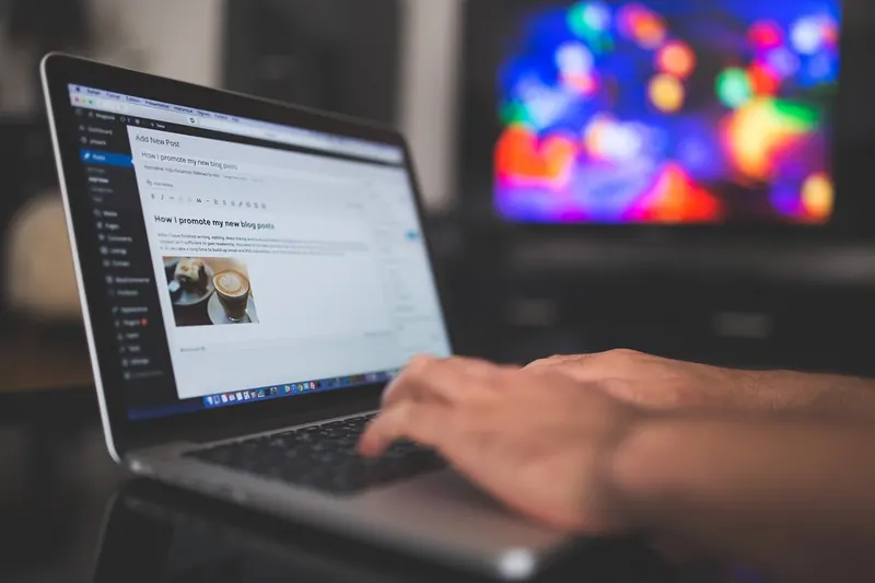 Les choix pour vos textes SEO
